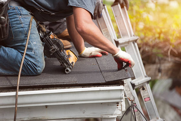 Best Commercial Roofing Services  in Fruitland Park, FL